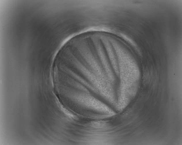 X0000062131272200512231428