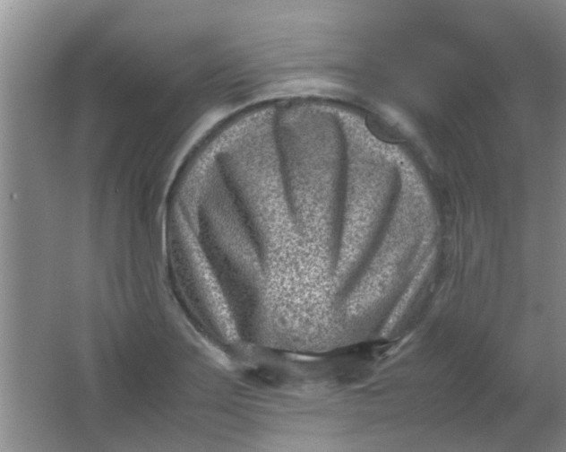 X0000062131275200512231428