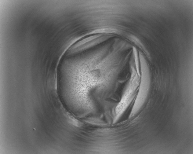 X0000062131276200512231428