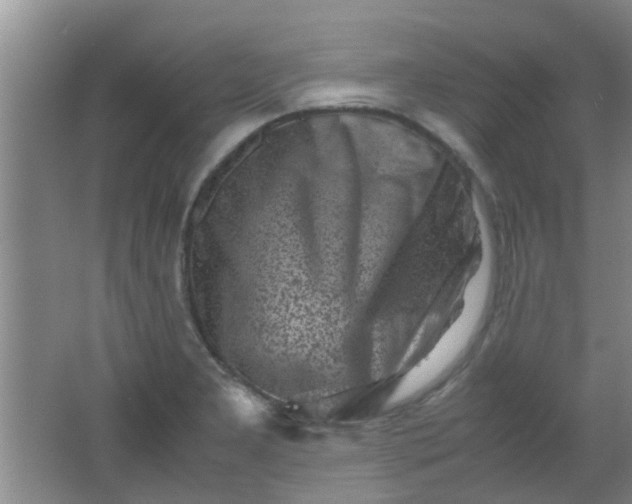 X0000062131277200512231428