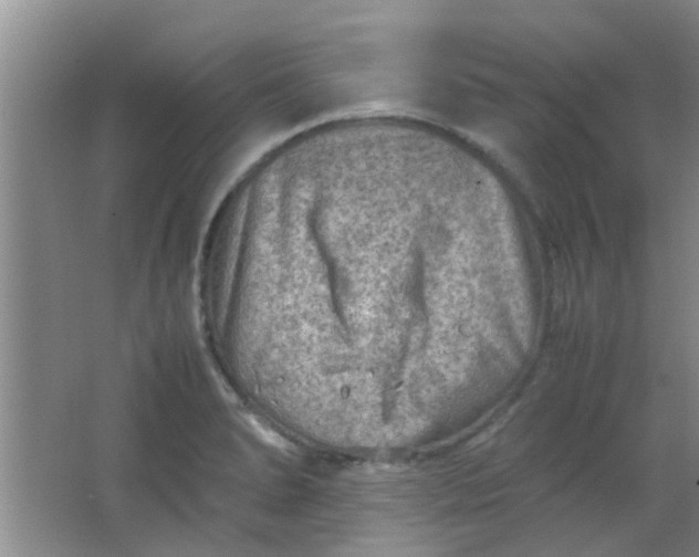 X0000062131278200512231428