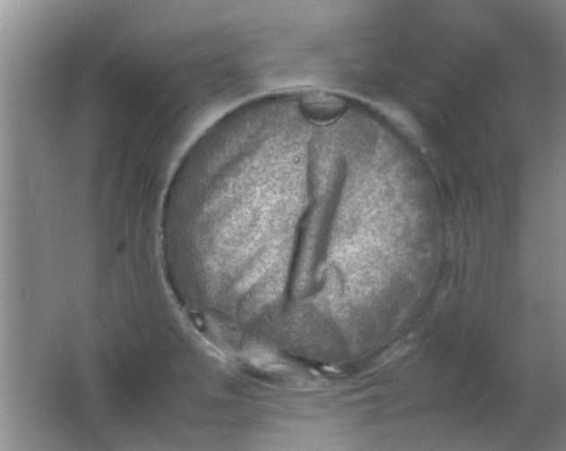 X0000062131279200512231428