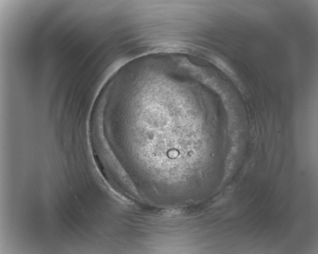 X0000062131283200512231428