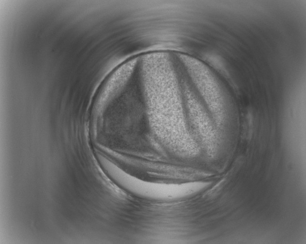 X0000062131284200512231428