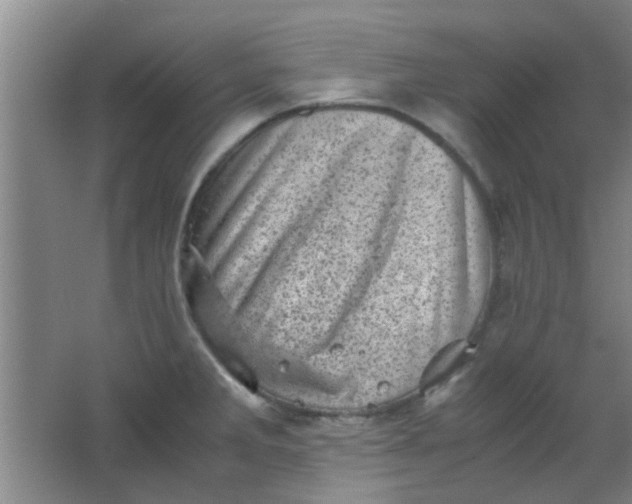 X0000062131285200512231428