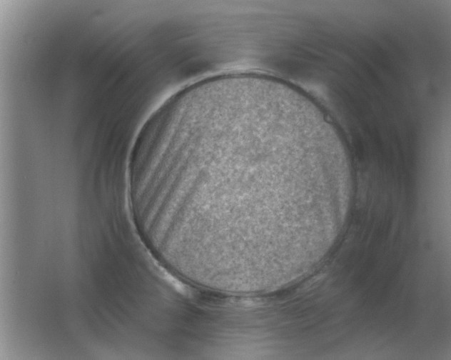 X0000062131286200512231428