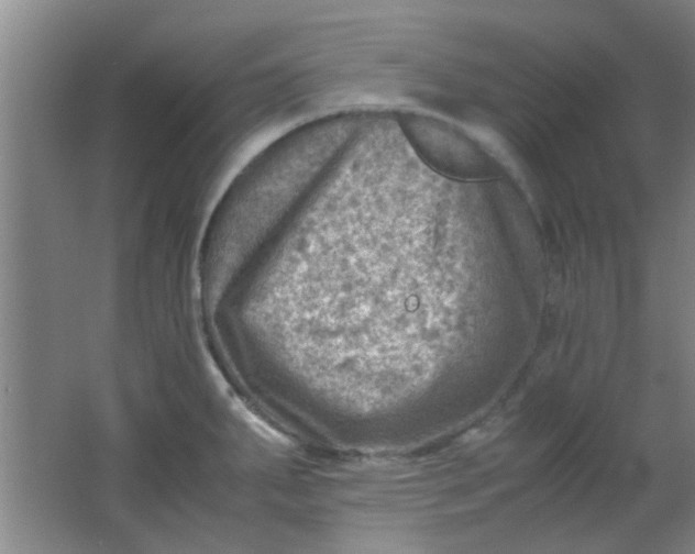 X0000062131287200512231428