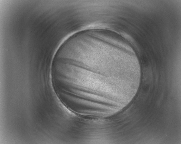 X0000062131288200512231428