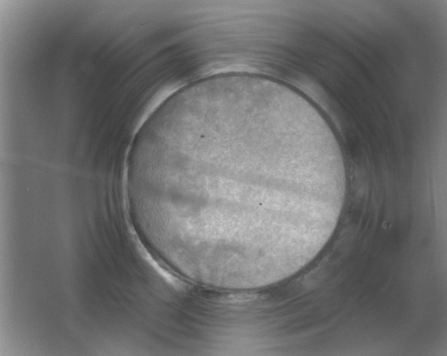 X0000062131290200512231428