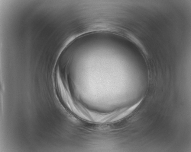 X0000062131291200512231428