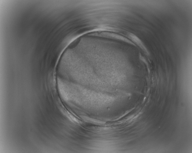 X0000062131292200512231428