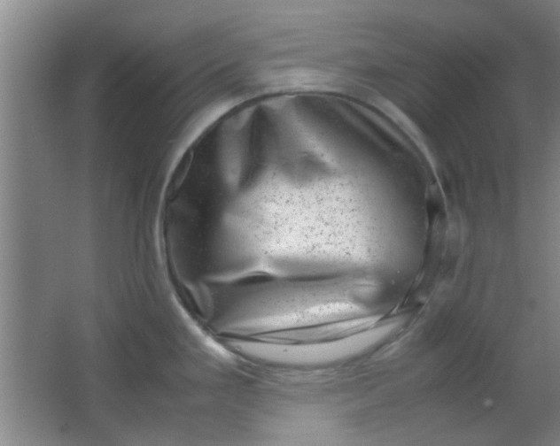 X0000062131293200512231428