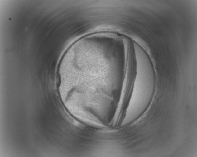 X0000062131296200512231428