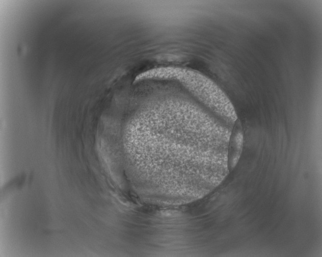 X0000062131297200512231427