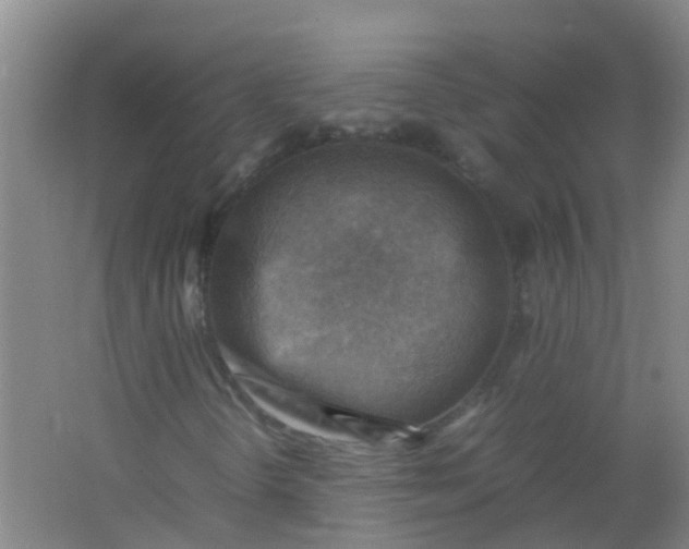 X0000062131298200512231427