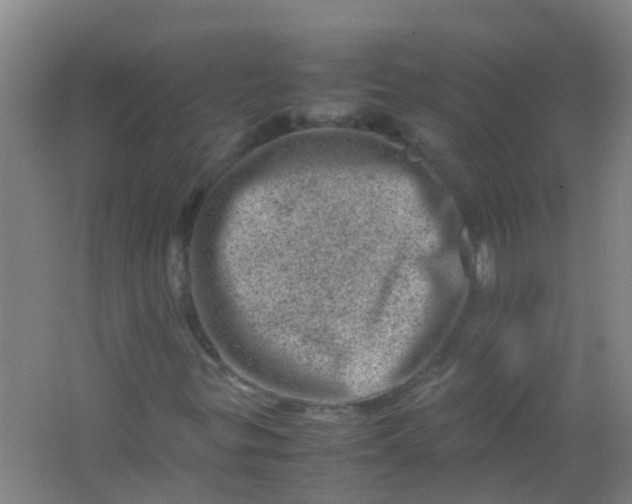 X0000062131299200512231427