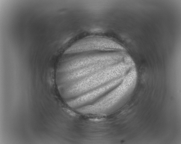 X0000062131301200512231427