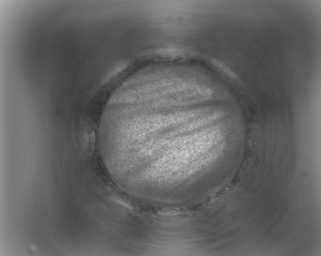 X0000062131302200512231427