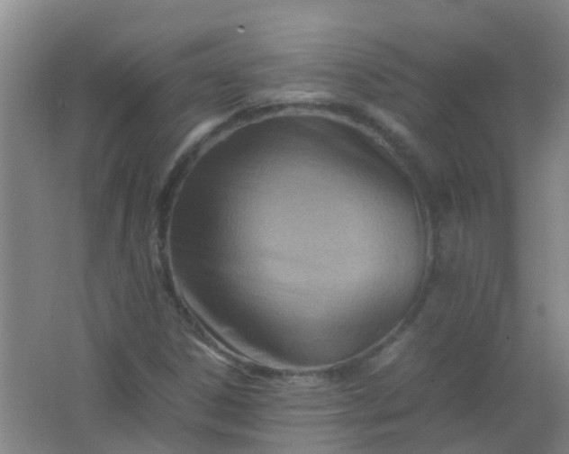 X0000062131306200512231427