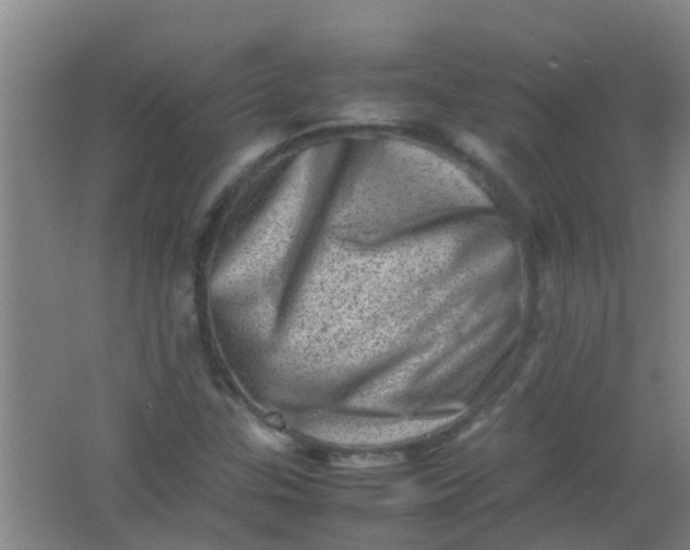 X0000062131307200512231427