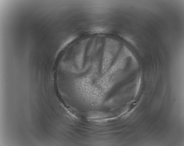 X0000062131309200512231427