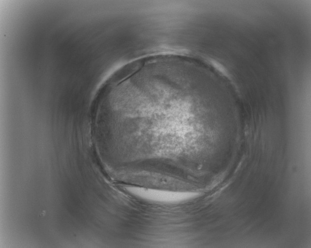 X0000062131310200512231427