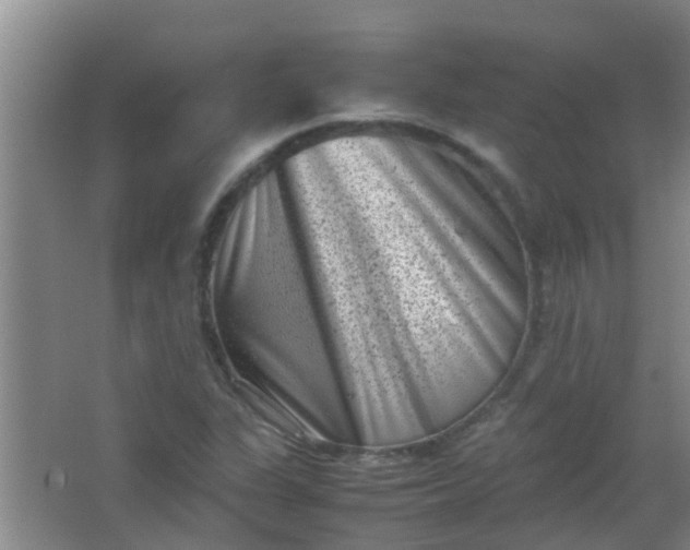 X0000062131311200512231427