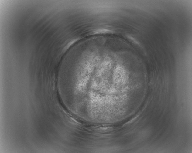 X0000062131313200512231427