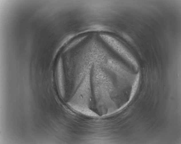 X0000062131318200512231427