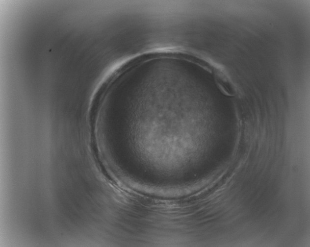 X0000062131319200512231427