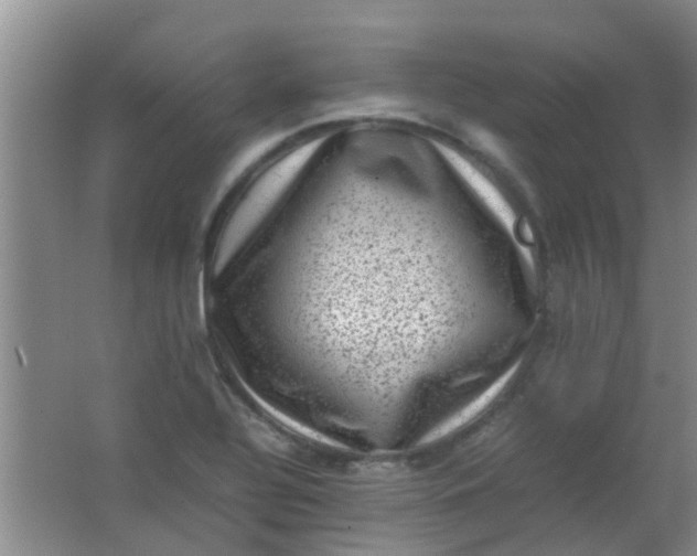 X0000062131320200512231427