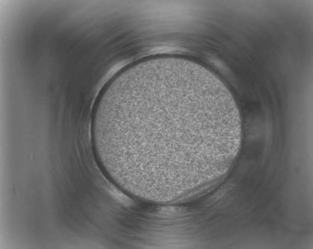 X0000062131322200512231427