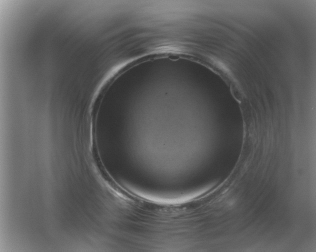 X0000062131323200512231427