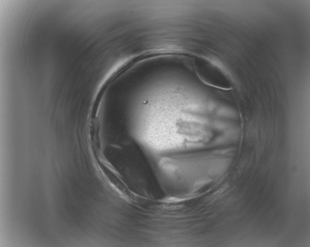 X0000062131325200512231427