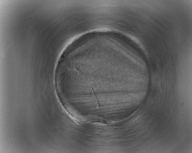 X0000062131327200512231427