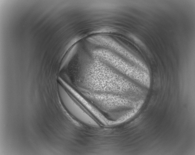 X0000062131329200512231427