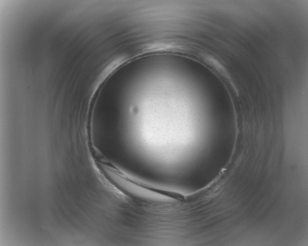 X0000062131330200512231427