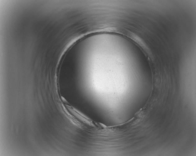 X0000062131332200512231427