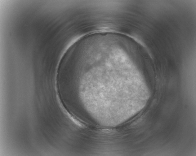 X0000062131333200512231427