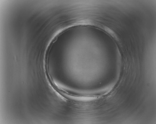 X0000062131334200512231427