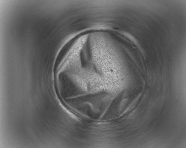 X0000062131335200512231427