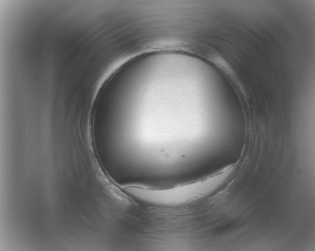 X0000062131336200512231427