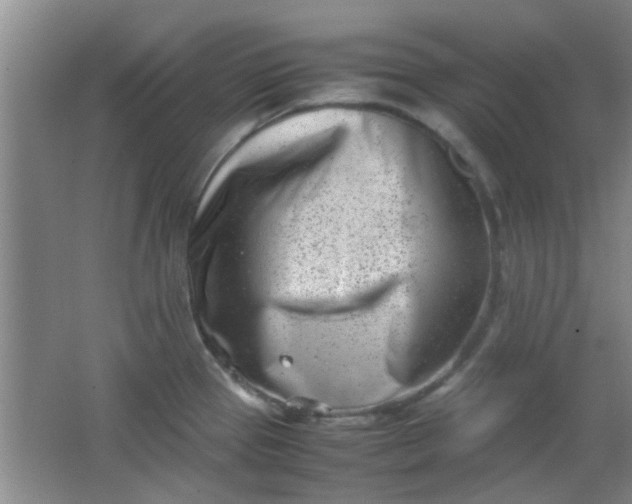 X0000062131337200512231427