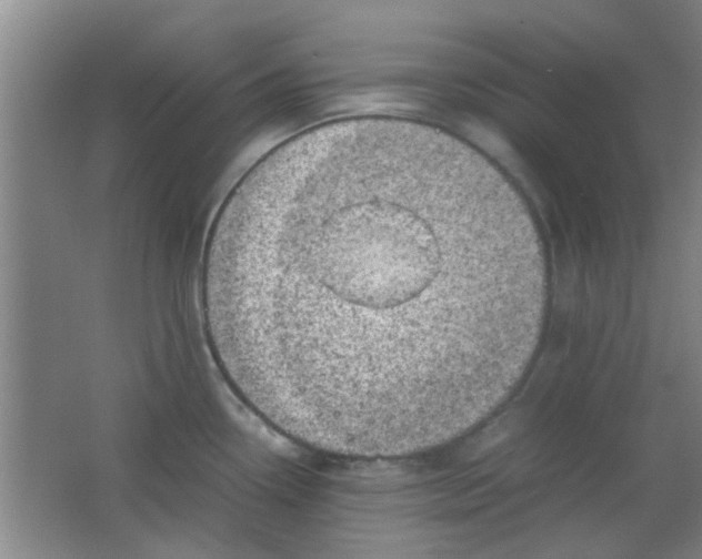 X0000062131338200512231427