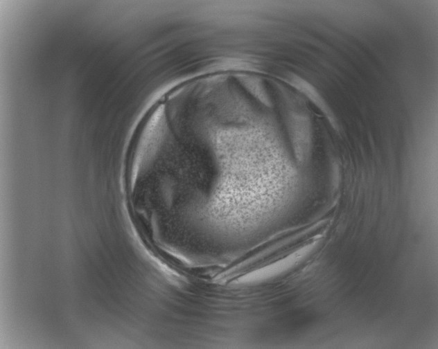 X0000062131339200512231427