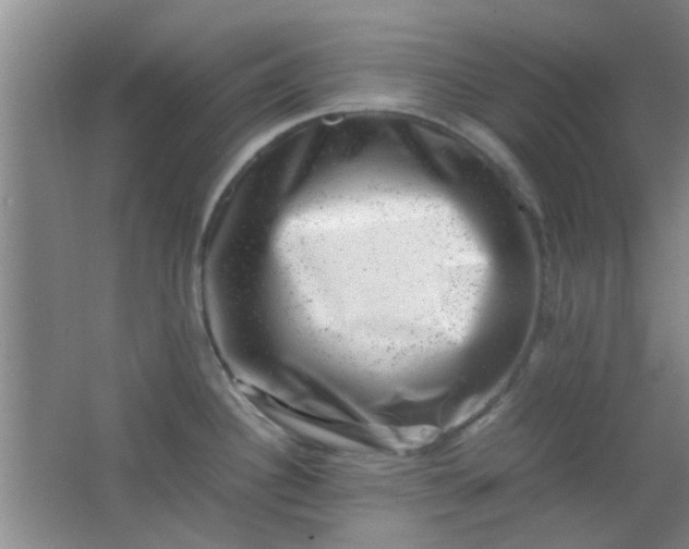 X0000062131340200512231427