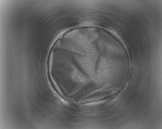 X0000062131341200512231427