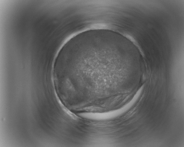 X0000062131342200512231428