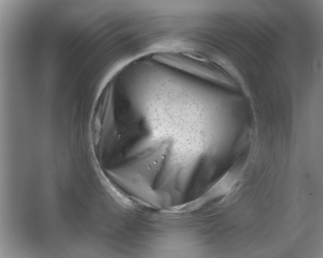 X0000062131344200512231428