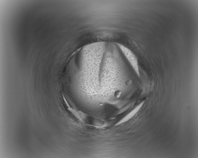 X0000062131345200512231427